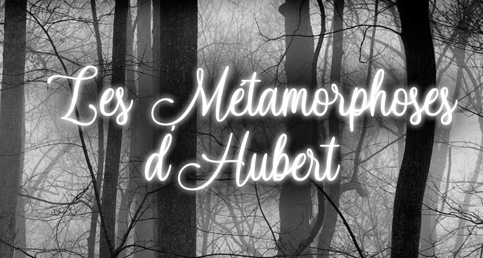 Spectacle – Les métamorphoses d’Hubert