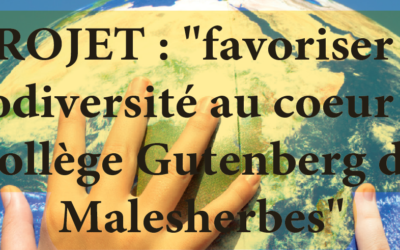 VOTEZ POUR GUTENBERG!